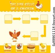 Free Art Print Of Diagram Showing Life Cycle Of Chicken Diagram