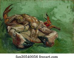 Back Art Print - A Crab On Its Back
