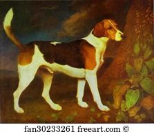 1792 Art Print - A Foxhound, Ringwod