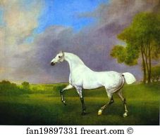 1793 Oil On Canvas Royal Collection Art Print - A Grey Horse