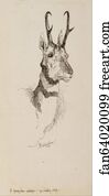  Art Print - A Pronghorn Antelope