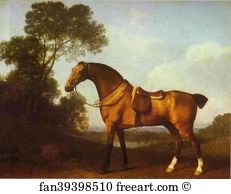 Saddling Art Print - A Saddled Bay Hunter
