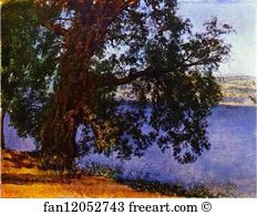 Vicinity Art Print - A Tree Over Water In The Vicinity Of Castel-Gandolfo