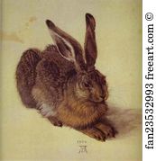 Albrecht Dürer Art Print - A Young Hare