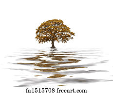 Free art print of Abstract Winter Oak Tree. Abstract of an oak tree in