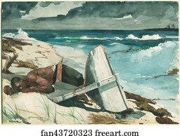  Art Print - After The Hurricane, Bahamas