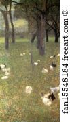 Chickens Art Print - After The Rain (Garden With Chickens In St. Agatha)