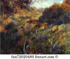 Ravine Art Print - Algerian Landscape. The Ravine Of The "femme Sauvage"