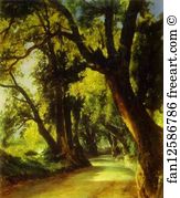 Albano Art Print - An Alley In Albano