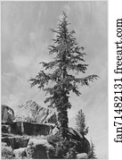 Monument Art Print - An Unnamed Peak, Kings River Canyon (Proposed As A National Park), California, 1936. (Vertical Orientation). Photographs Of National Parks And Monuments, Compiled 1941 - 1942, Documenting The Period Ca. 1933 - 1942.