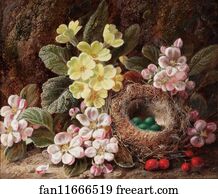 Nesting Art Print - Apple Blossom, Primroses And Bird's Nest