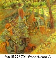 Picking Art Print - Apple Picking