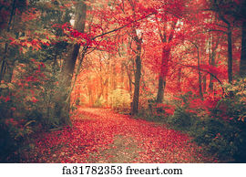 Free art print of Red leaves forest. Path through an autumn forest with ...