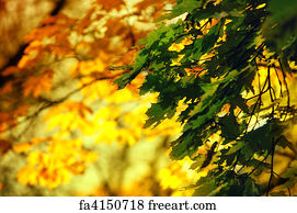 Free art print of Autumn Forest | FreeArt | fa4149927