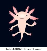 Free art print of Cute axolotl cartoon vector illustration. Vector