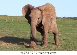 Free art print of Elephant and Baby. African elephant mother prodding