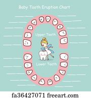 No cost artwork print of Lasting enamel cartoon chart graphic about Baby Tooth Chart Printable named Totally free artwork print of Long lasting teeth cartoon chart