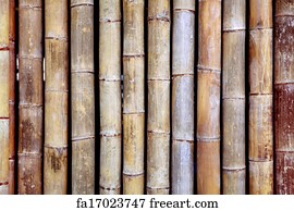 Free Bamboo Texture Art Prints And Wall Artwork Freeart