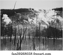 Trunks Art Print - Barren Tree Trunks Rising From Water In Foreground, Stream Rising From Mountains In Background, "roaring Mountain, Yellowstone National Park, " Wyoming. Photographs Of National Parks And Monuments, Documenting The Period Ca. 1933 - 1942.