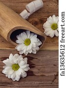 Free art print of Beautiful chrysanthemum and chamomile flowers