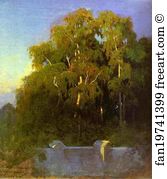 In The Grove Art Print - Birch Grove In The Evening