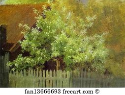 Cherry Art Print - Bird-Cherry Tree