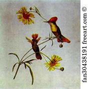 Birds And Flowers Art Print - Birds And Flowers