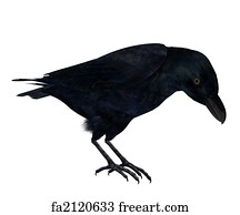 CROW SILHOUETTE MOON BLACK GREY PHOTO ART PRINT POSTER PICTURE BMP1006B 