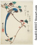 Blue Art Print - Blue Magpie On Maple Branch
