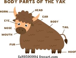 Free art print of Body parts of the donkey. Scheme for children. Body ...