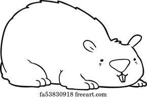 Free art print of Wombat. Close up of wombat in Narawntapu national