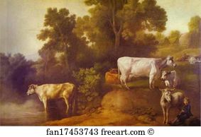 Cattle Art Print - Cattle By A Stream