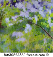 Cherry Blossom Art Print - Cherry-Trees In Blossom