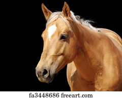 Free art print of Portrait of palomino horse with chrsitmas wreath