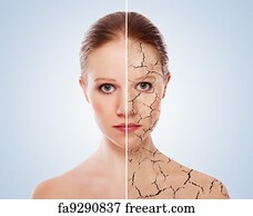 beauty surgery after effect sample video free download