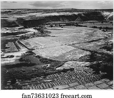 Rain Art Print - Corn Field, Indian Farm Near Tuba City, Arizona, In Rain, 1941.. Photographs Of National Parks And Monuments, Compiled 1941 - 1942, Documenting The Period Ca. 1933 - 1942.