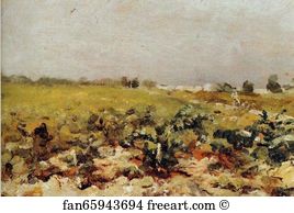 Céleyran Art Print - Céleyran: View Of The Vignards