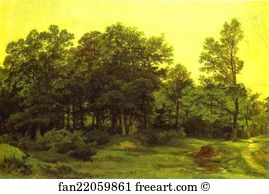 Forest Art Print - Deciduous Forest