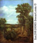 Vale Art Print - Dedham Vale