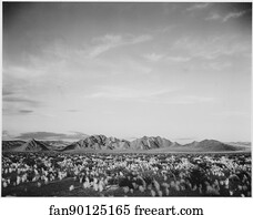 Near Death Valley Art Print - Distant View Of Mountains, Desert, Shrubs Highlighted In Foreground, "near Death Valley National Monument, " California. Photographs Of National Parks And Monuments, Compiled 1941 - 1942, Documenting The Period Ca. 1933 - 1942.