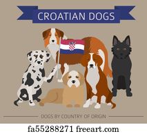 do old croatian sighthound howl