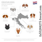 do old croatian sighthound howl