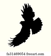 Download Free Art Print Of Angry Hawk In Flight Angry Swainsons Hawk Freeart Fa341259