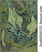 Emperor Art Print - Emperor Moth