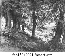 Cardbord Art Print - Evening In Albano Near Rome