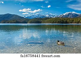  Art Print - Eibsee Lake, Germany