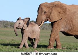 Free art print of Elephant and Baby. African elephant mother prodding