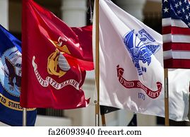 Military Art Print - Military Standards