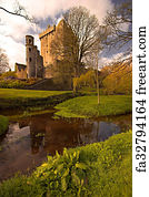 Art Print -  Blarney
