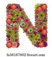 Free art print of Flower Alphabet - N. Letter N made of flowers ...